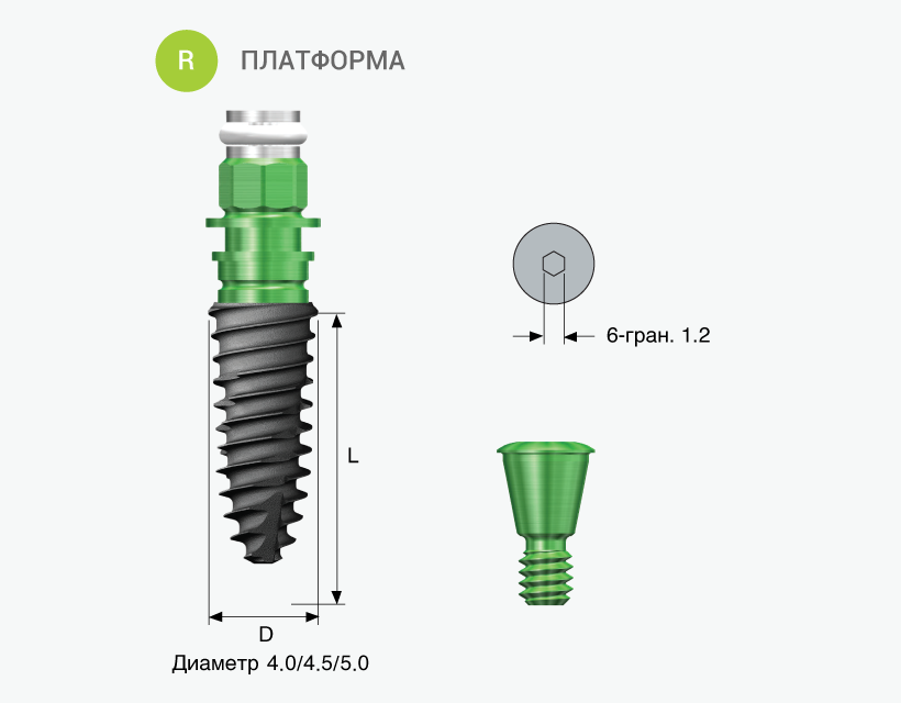 Имплантаты TS IV SA