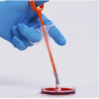 Ресурс 4@3x.png