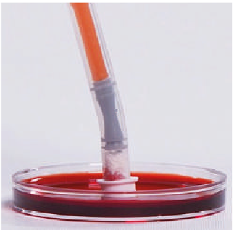 Ресурс 3@3x.png